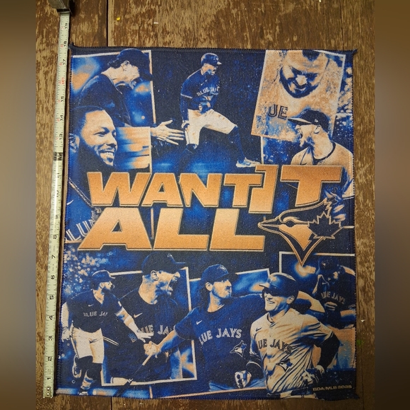 Other - Toronto Blue Jays 2025 WANT IT ALL FanTowel